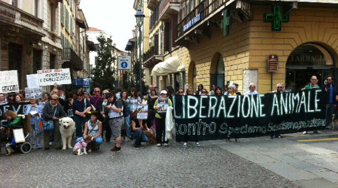 green hill protesta in città ok