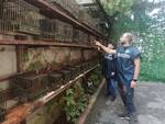 bracconaggio carabinieri forestali