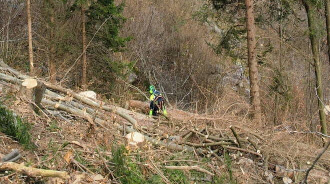 schiacciato da albero Bagolino soccorso alpino