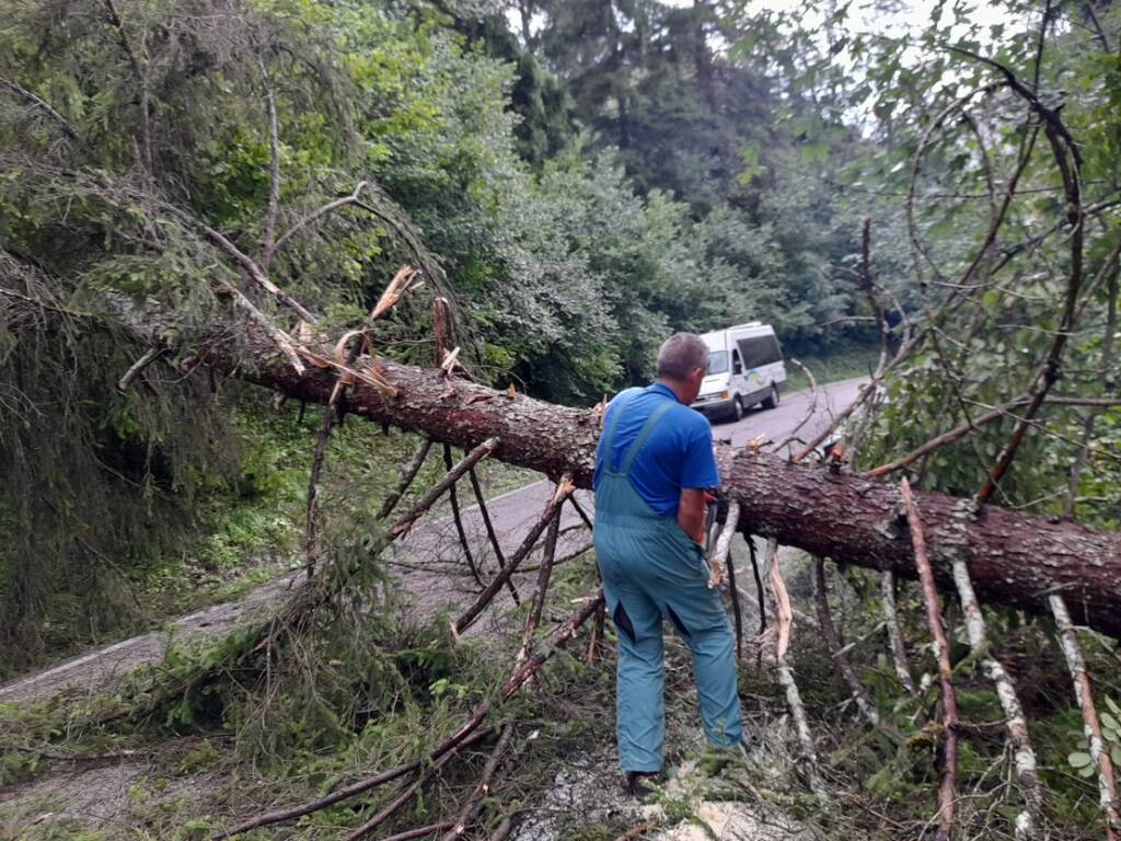 maltempo caduta alberi Bresciano