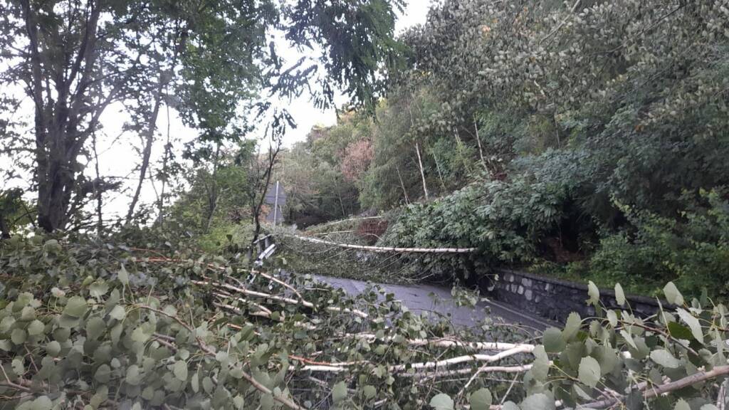 maltempo caduta alberi Bresciano