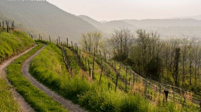 franciacorta