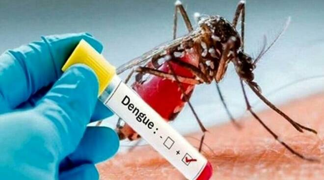 dengue