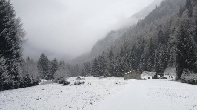 neve Ponte di legno