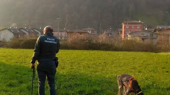 Cane Sole antiveleni Polizia Provinciale