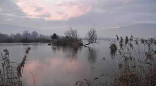 Torbiere del Sebino Lago d'Iseo