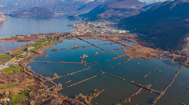 Torbiere del Sebino Iseo