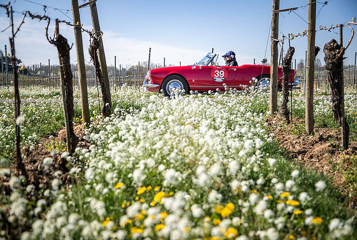 auto franciacorta