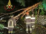 Malonno albero caduto sulla strada del municipio vigili del fuoco