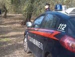 Carabinieri campagna