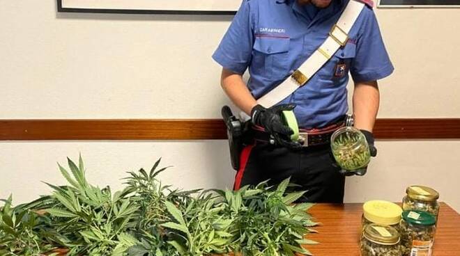 carabinieri coltivazione cannabis