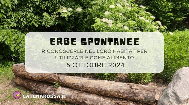 Corso sulle erbe spontanee commestibili