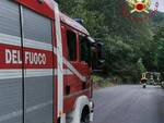 Vigili del Fuoco alberi abbattuti Berzo Demo e Sonico