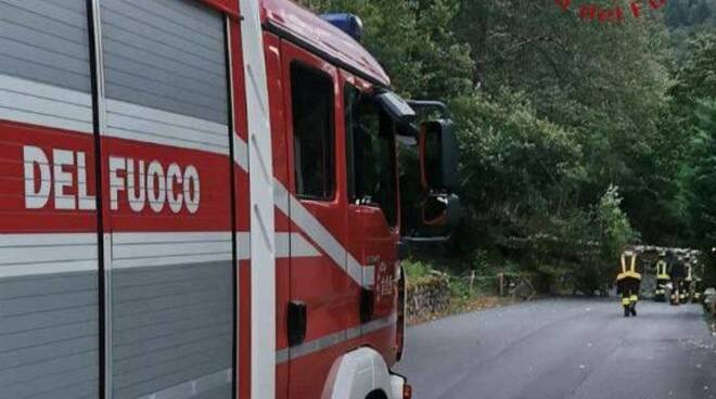 Vigili del Fuoco alberi abbattuti Berzo Demo e Sonico