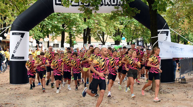 Zebra Run 2024